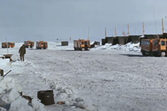 mana dreapta a lui trump sua au dreptul sa preia controlul asupra groenlandei noi stabilim termenii si conditiile 695d3392b09d8