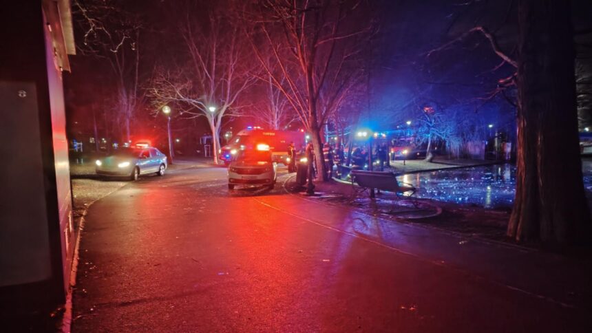 mobilizare de forte in parcul ior din capitala este cautata o femeie despre care martorii spun ca ar fi cazut in lacul inghetat 6956c8b05d83d