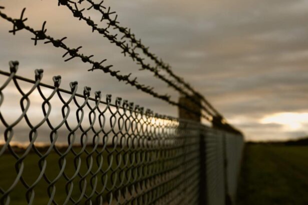 mobilizare de urgenta in timis un pacient detinut a fugit din spitalul de psihiatrie si furat o masina 695d80fb68782