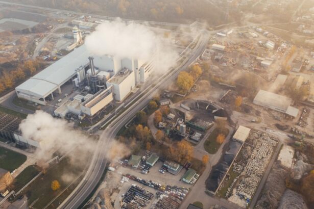 pericol de otravire in ciulnita din cauza unei fabrici de deseuri animale compania a dat in judecata oamenii care se lupta pentru sanatatea lor 696f45c1066ac