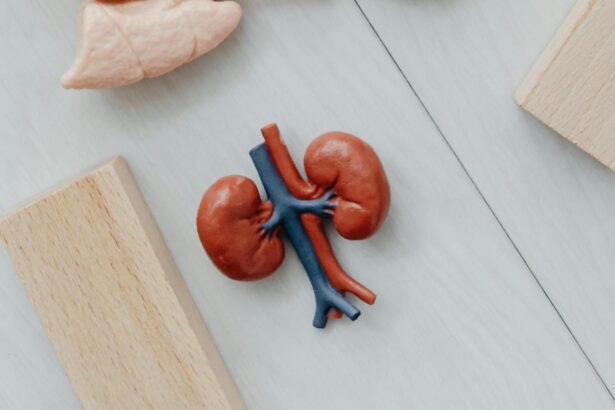 pietrele la rinichi nu sunt doar depuneri de oxalati surprinzator ce s a descoperit in urma unui nou studiu 6979aa5b0c339