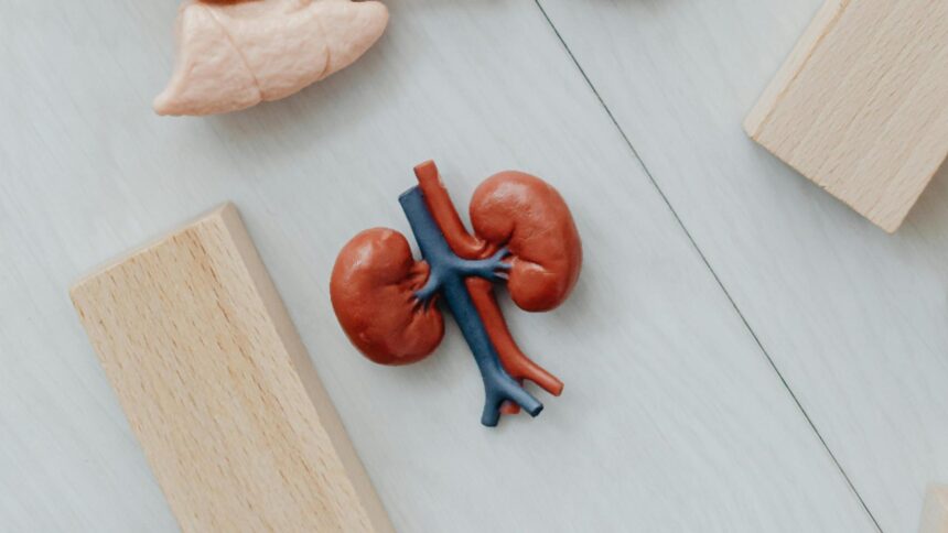 pietrele la rinichi nu sunt doar depuneri de oxalati surprinzator ce s a descoperit in urma unui nou studiu 6979aa5b0c339