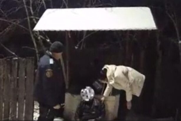 prabusit in zapada la 7 grade lupta unui barbat cu frigul care putea sa l ucida video 696516fb09bda