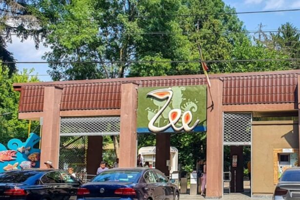 primaria capitalei a scumpit biletele la zoo baneasa si la mai multe teatre si muzee din bucuresti 697bc71a052b2