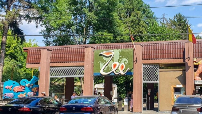 primaria capitalei a scumpit biletele la zoo baneasa si la mai multe teatre si muzee din bucuresti 697bc71a052b2