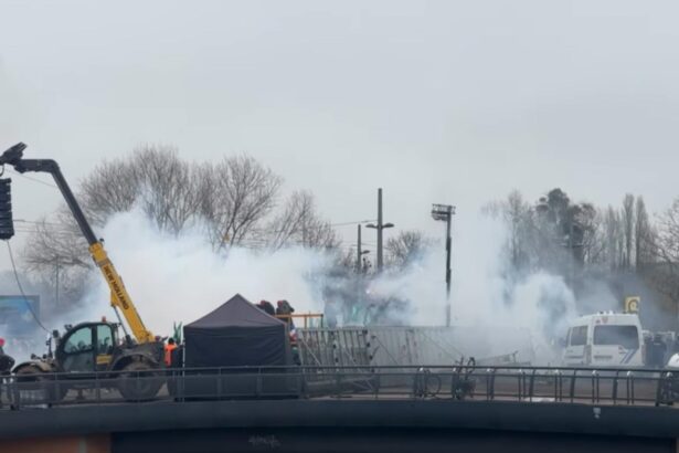 protest de amploare in fata parlamentului european de la strasbourg fermierii sunt alungati cu gaze lacrimogene video 696f9a3d4d4c5