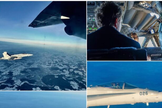 realitatea vs comunicarea oficiala unde se fisureaza discursul lui nicusor dan presedintele spartan salutat de avioanele de lupta ale elvetiei 695ff532a1d78