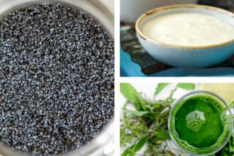 retete cu seminte de chia pentru slabit se prepara repede sunt sanatoase si te vor ajuta sa pierzi in greutate 697a05aaa7823