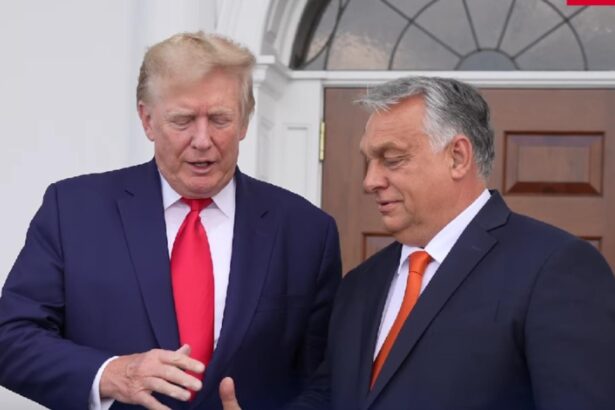 scrisoare elogioasa a lui donald trump pentru viktor orban stilul dumneavoastra curajos de conducere este un exemplu pentru restul lumii 6960af97ac343
