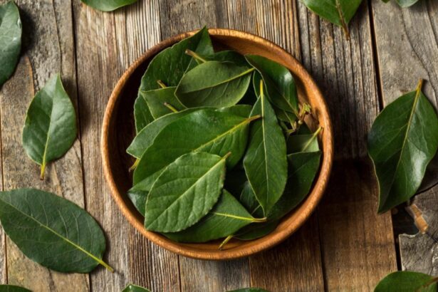 secretul foilor de dafin de pe calorifer obiceiul pe care romanii il practica in fiecare iarna 6978c4be2997c