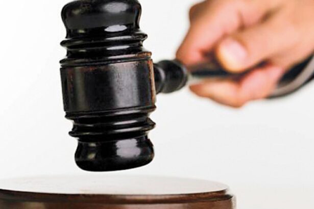 soti din bucuresti condamnati la ani grei de inchisoare pentru uciderea unui afacerist italian 695e196b60776