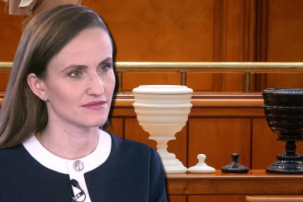 tensiuni in coalitie psd ar putea vota motiunea impotriva oanei toiu surse 696b508da8a93