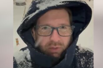 timisorenii se plang de strazi inzapezite fritz se bucura de zapada ninge ca n povesti video 695fa7ebbec8a