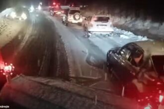 trafic blocat pe dn 67c sectorul novaci ranca turistii si au parcat masinile pe marginea drumului video 69581db170c2f