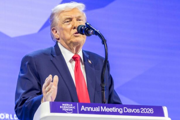 trump ironii la adresa nato poate ca ar fi trebuit sa invocam articolul 5 si sa ne protejeze de imigrantii ilegali 697316ac97af8