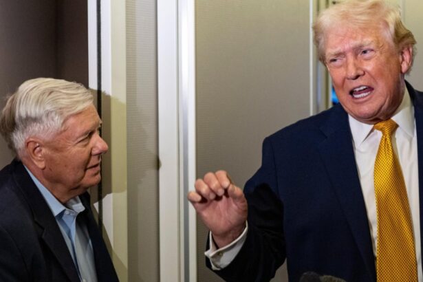 trump socheaza printr o declaratie care da fiori danemarcei ne vom ocupa de groenlanda in circa doua luni 695b8fd78e9d4