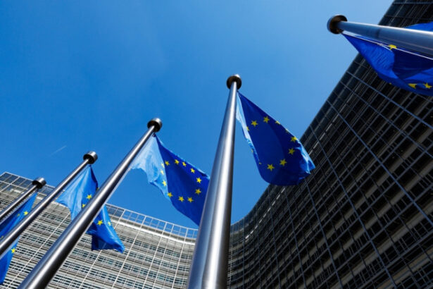 ue aproape de a incheia acordul comercial cu mercosur in ciuda protestelor fermierilor 6960bd8097006