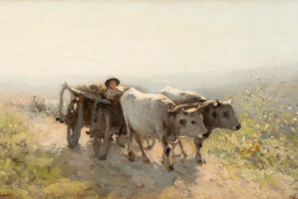 video anaf scoate la licitatie o parte din tablourile ascunse de valcov in pereti la cat se ridica prejudiciul din dosar 696b1d09dc689