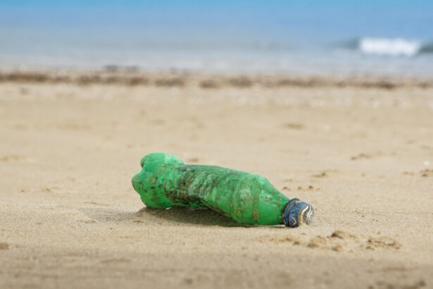 video cercetatorii avertizeaza peste cu microplastic pe masa romanilor marea neagra poluata masiv 69690173ef0e0