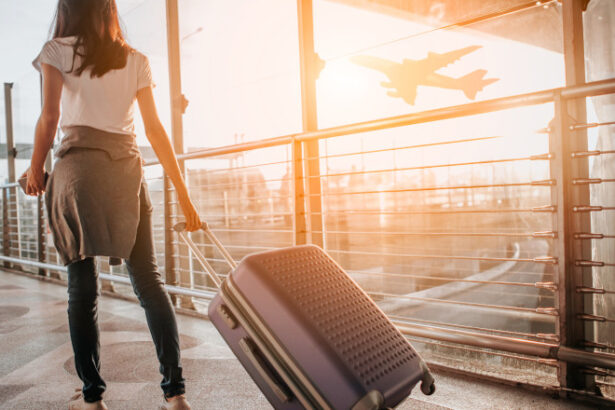 video noi reguli pentru calatoriile cu avionul bagaj de mana gratuit compensatii pentru intarzieri anuntul parlamentului european 697d8dfc9b72c