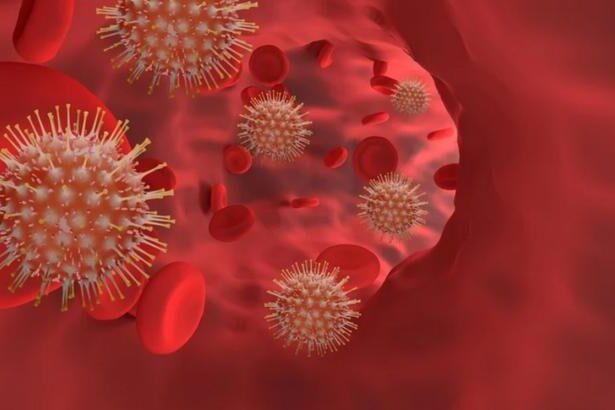 virusul nipah reaprinde alerta sanitara in asia india confirma noi cazuri iar mai multe state introduc controale in aeroporturi 697bd8c25ab82