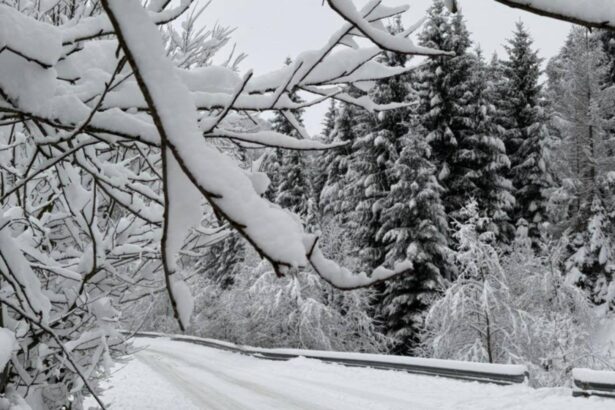 vreme extrema in tara in continuare ninge abundent in mai multe zone ce ne asteapta in orele urmatoare potrivit anm 6958d6e8a1132