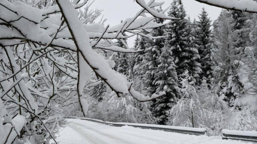 vreme extrema in tara in continuare ninge abundent in mai multe zone ce ne asteapta in orele urmatoare potrivit anm 6958d6e8a1132