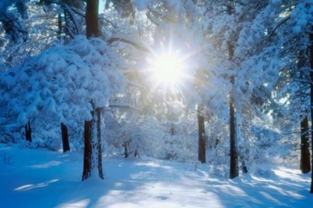 vremea in februarie temperaturi usor peste normal si precipitatii extinse cand vine primavara 697c5017676aa