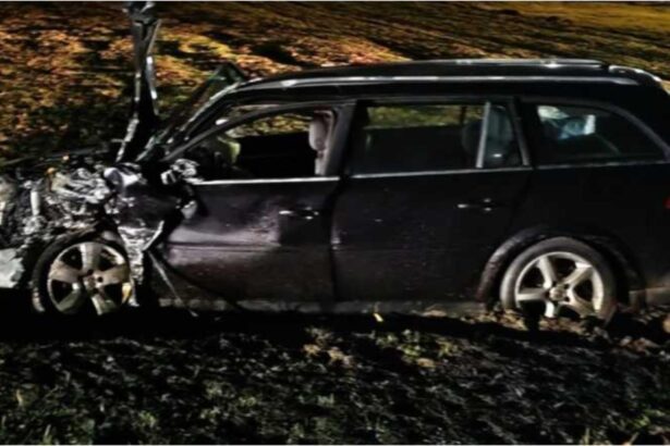 accident rutier grav in judetul hunedoara opt persoane intre care doi copii au fost ranite 6992c04b89d55