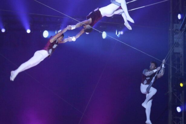 accident teribil la un spectacol de circ in craiova un acrobat s a prabusit in timpul numarului si a fost dus de urgenta la spital 6991c6af1e3c9