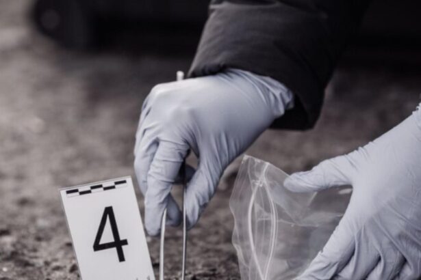 afacerist de 49 de ani mort in alexandria barbatul a fost gasit la ferma sa de la marginea orasului 69a1a90704bbb