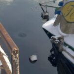 alerta de poluare cu petrol pe dunare dupa ce un impingator s a scufundat ce spun reprezentantii de la apele romane fotovideo 69834761f1a73