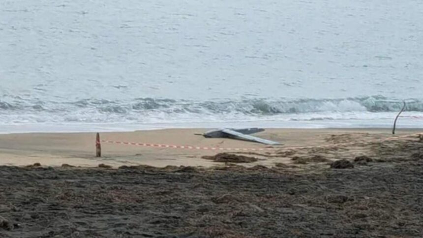 alerta la marea neagra posibil fragment de drona descoperit pe plaja din mamaia 69948482a6220