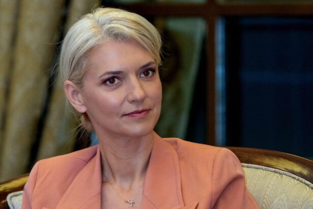 alina gorghiu delegatie oficiala in israel puci doar in imaginatia unora este doar un alt fake news 6982389f794db