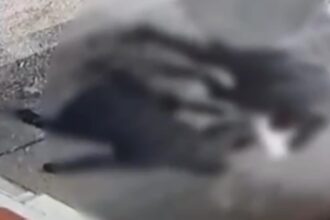 barbat batut de doi indivizi la iesirea din spitalul obregia agresorii care au folosit si un cutit retinuti 6985f28dae006