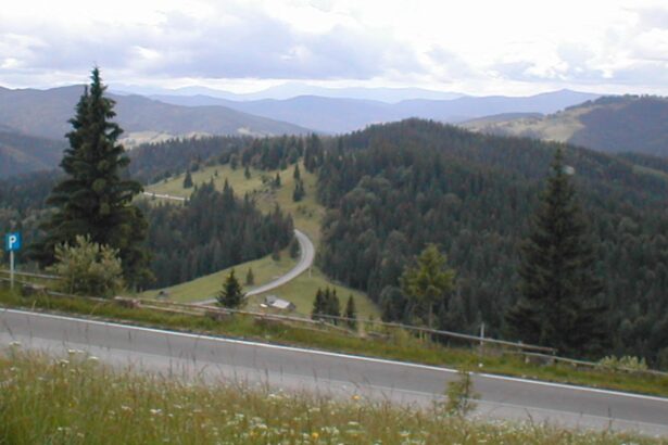 canadienii au descoperit o adevarata comoara in muntii apuseni metale rare cu potential urias 69832327b04a2