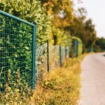 ce risca proprietarii care incalca linia de hotar de la amenzi usturatoare pana la raspundere penala 697e7596f058d