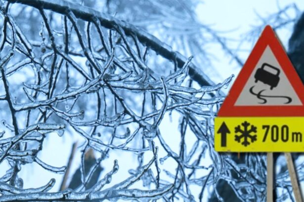 ceata densa pe autostrada soarelui si drumuri nationale inchise trafic in conditii de iarna in toata tara 6996adb3af885