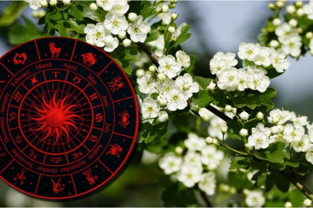 cine sunt zodiile care scapa de ghinion in luna martie vor simti cum echilibrul revine in viata lor 69a2d510292e2