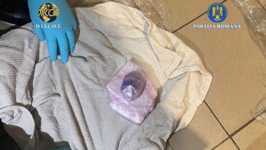 cocaina adusa din spania pentru cluburile din bucuresti confiscata de diicot patru suspecti prinsi in flagrant 698decfcd046c