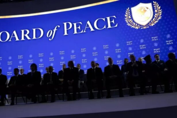 critici de la moscova la adresa consiliului de pace al lui donald trump moscova nu crede ca acesta va colabora cu onu 69a0069417387