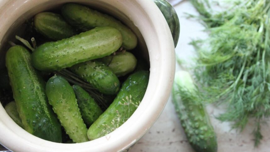 cum pastrezi castravetii ca sa ramana proaspeti legumele si fructele langa care este interzis sa fie depozitati 6996faf23e929