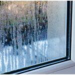 cum scapi de mirosul de umezeala din casa trucurile simple si eficiente pentru sanatatea ta si a familiei tale 69850834deeaf