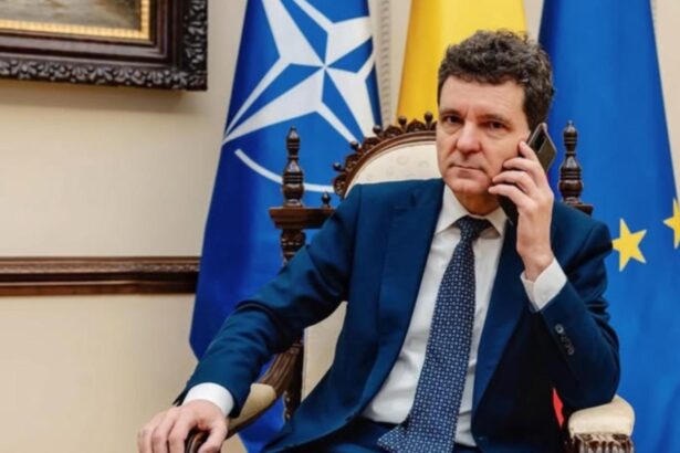 dan dungaciu nicusor dan a plecat observator si se va intoarce tot observator 699604f1a8f2f