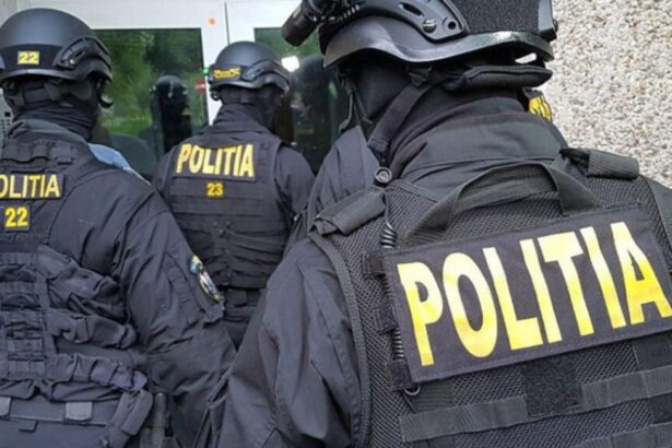 descinderi in timis dupa crima socanta din cenei droguri si arme gasite de anchetatori cinci persoane duse la audieri 69a012646c43d