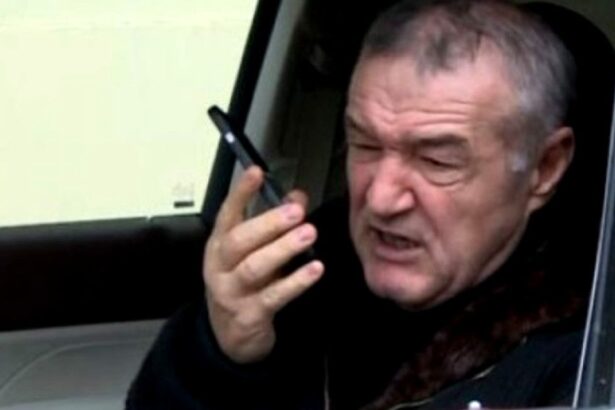 dialog ireal intre gigi becali si inteligenta artificiala ce l a scos din sarite pe patronul fcsb 69a00d6734465