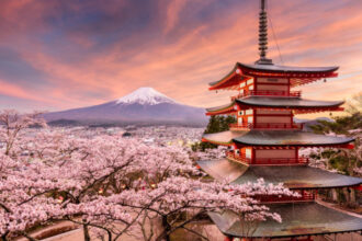 festivalul ciresilor infloriti din japonia anulat din cauza comportamentului turistilor care sunt problemele mentionate de autoritati 699078b7c55fc