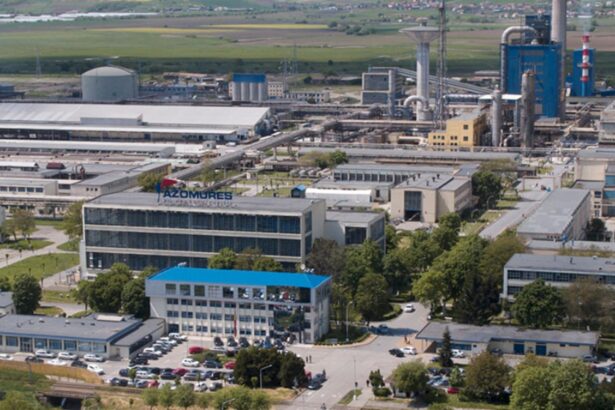 gigantul azomures la pamant de ce a fost pus pe pauza cel mai important producator de ingrasaminte al romaniei 698ed9bd17398