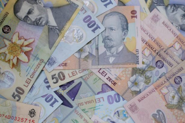 guvernul nu are bani dar a dat peste 15 milioane de lei la subventiile pentru partide numai in luna februarie 69a1adc74d23a