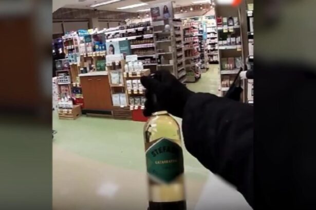 hotii costumati in robin hood au donat mancarea sarmanilor furt in canada 6984c555911cd